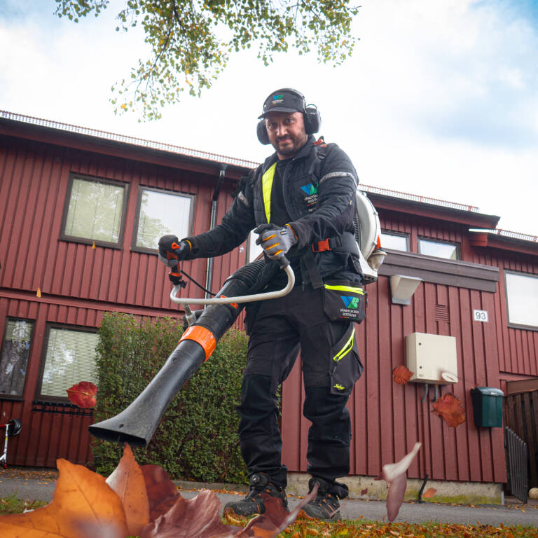 annons fastighetsvärd