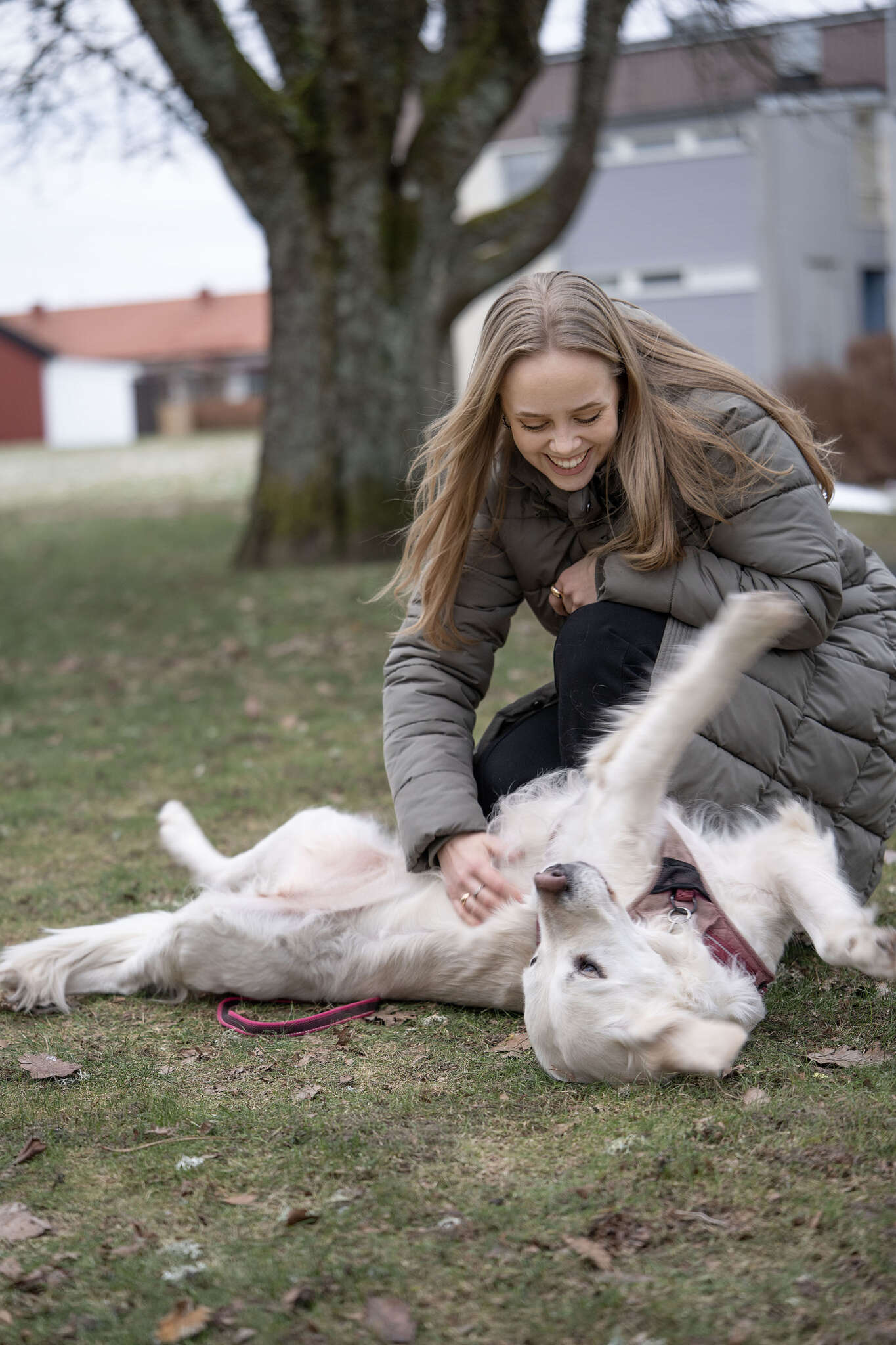 sveriges-roligaste-hund-bor-i-varg-n-v-nersborgsbost-der